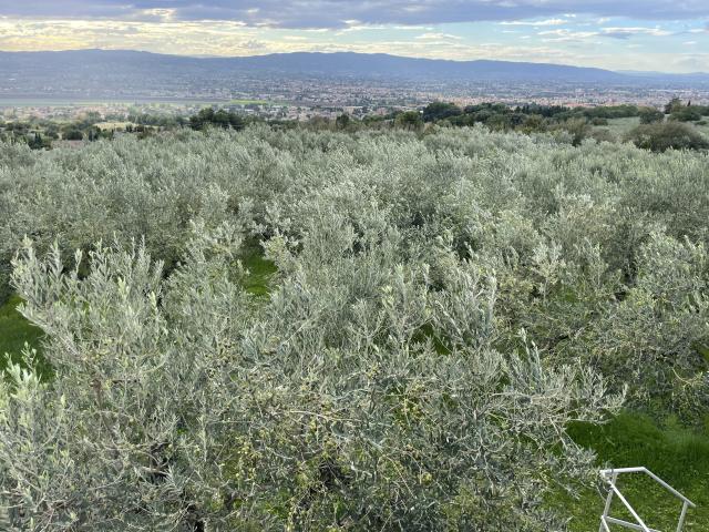 Quelle est la meilleure période pour un séjour en Ombrie ou en Toscane ?