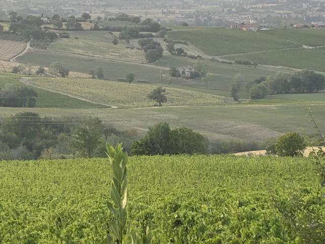 Quelle est la meilleure période pour un séjour en Ombrie ou en Toscane ?